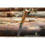 Nóż Opinel No.8 Inox Oak Animalia - Chamois