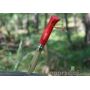 Nóż Opinel No.8 Inox Colorama - Red